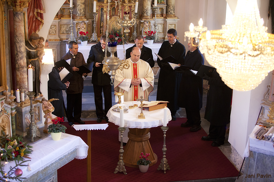Brezova_reber_05_m.jpg
