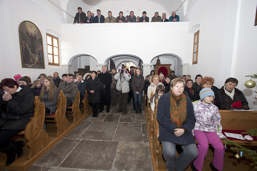 Brezova_reber_11_m.jpg
