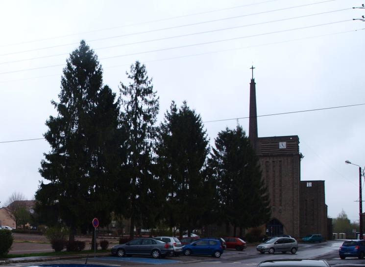 P4278935-.JPG
